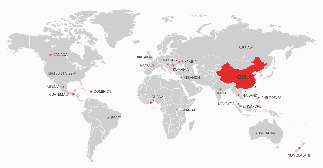 Sales network(图1)